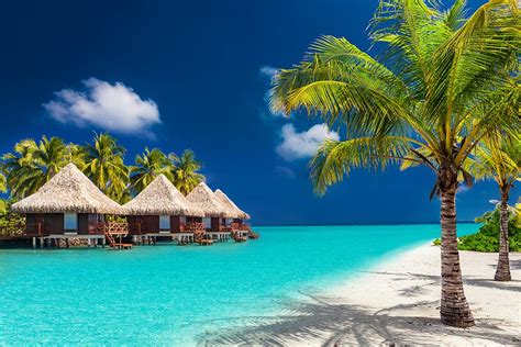 moorea vacation packages from los angeles